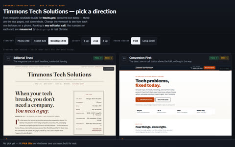 Screenshot of the Timmons Tech Solutions demo site